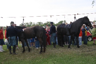 Students learn about cavalry horses